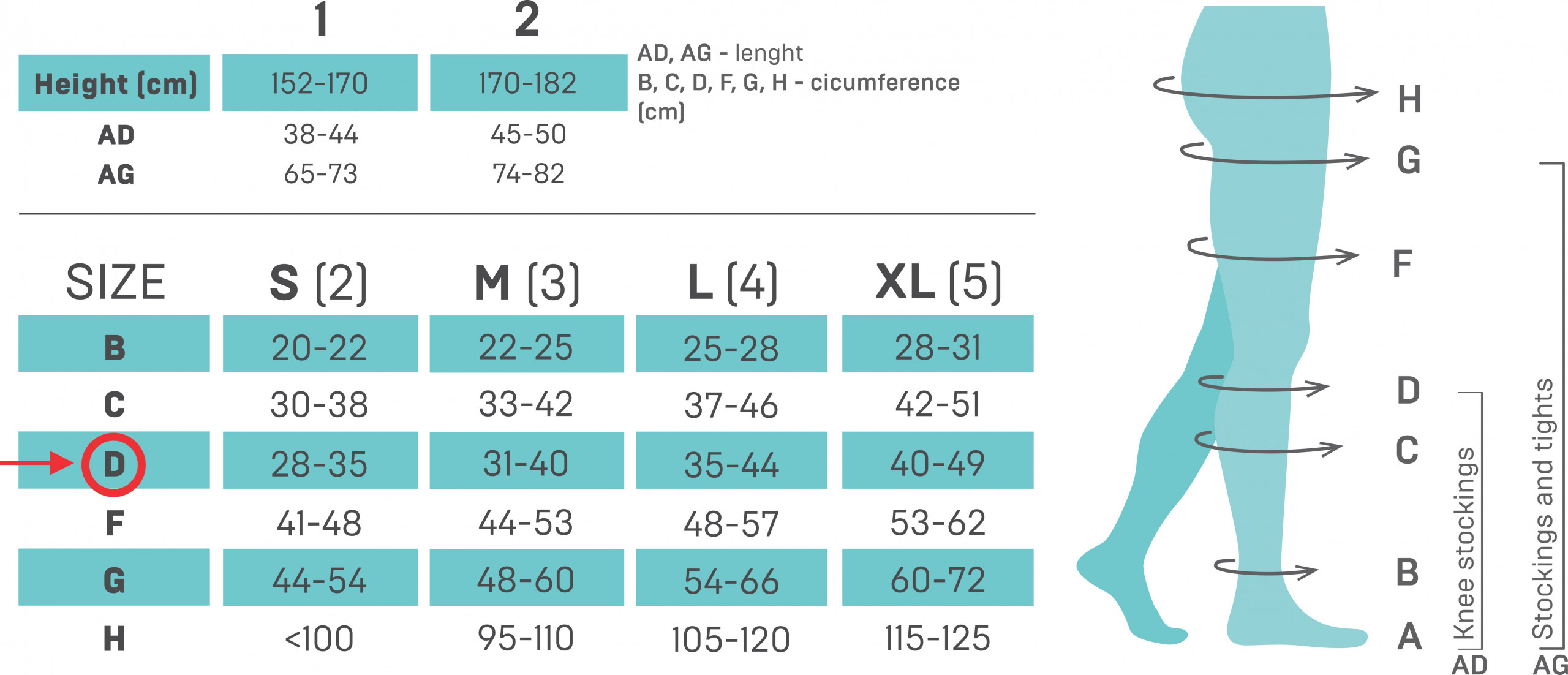 How To Know What Size Compression Sock To Get